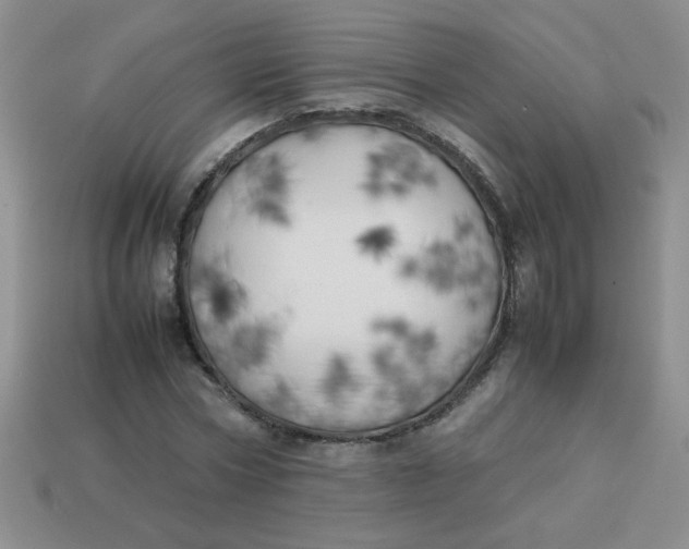 X0000113890778200910151334