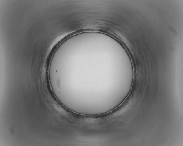X0000113890779200910151334
