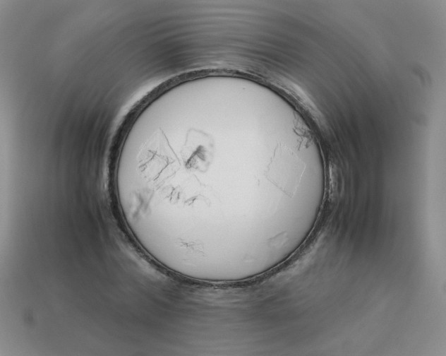 X0000113890780200910151334