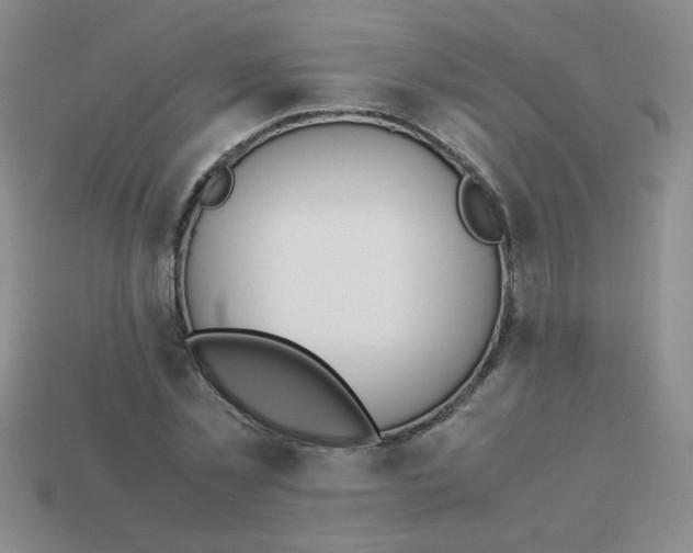 X0000113890781200910151334
