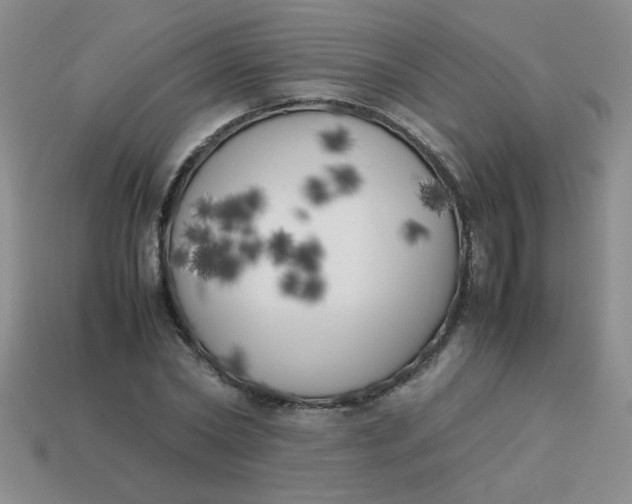X0000113890782200910151334