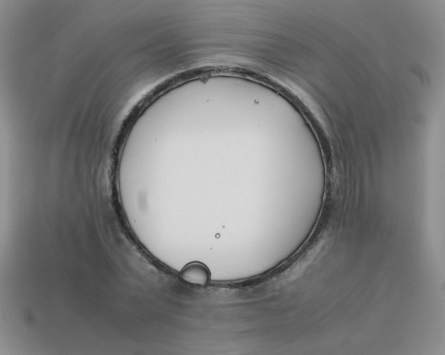 X0000113890783200910151334