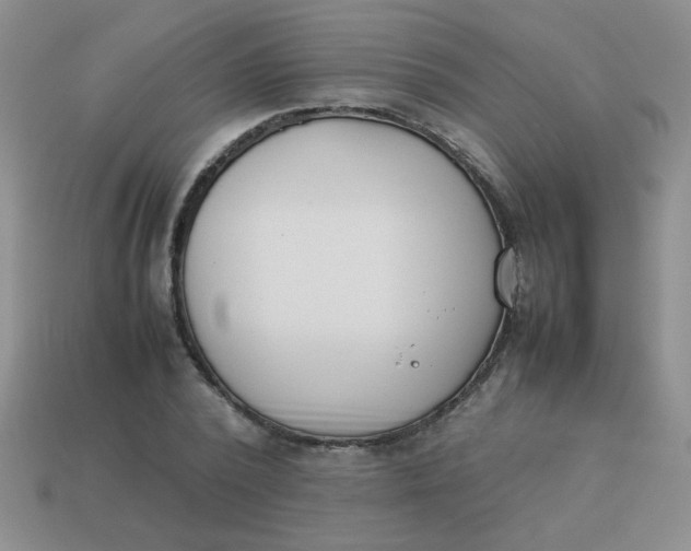 X0000113890784200910151334