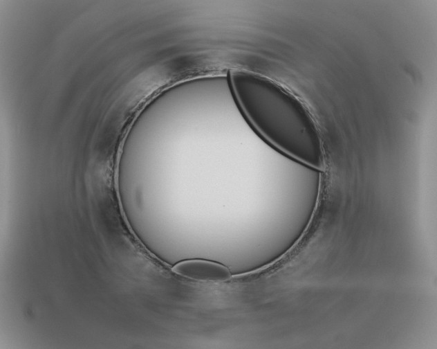 X0000113890785200910151334