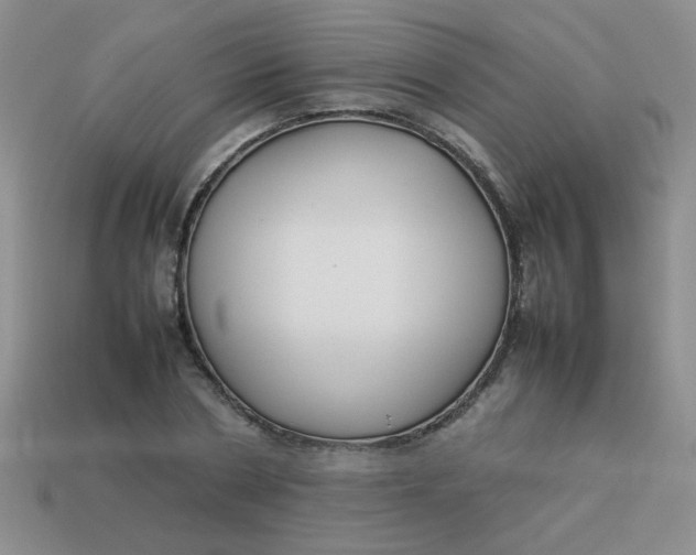 X0000113890786200910151334
