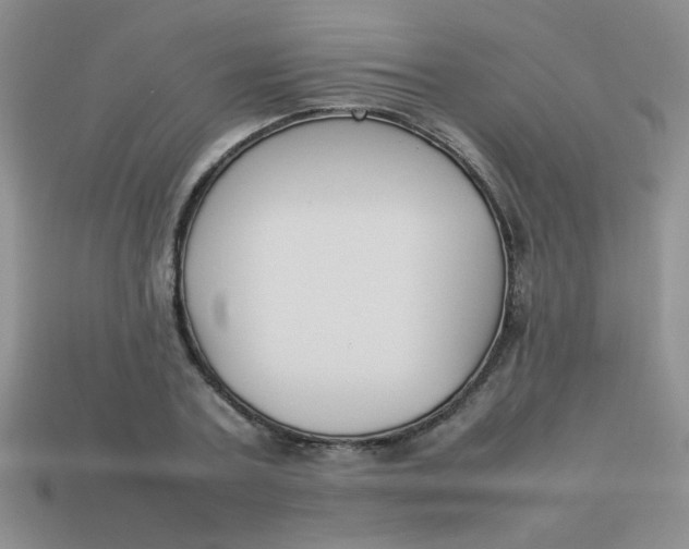 X0000113890787200910151334