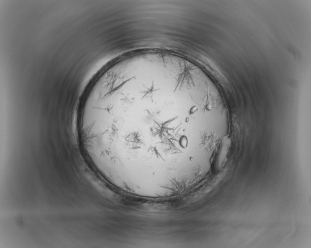 X0000113890788200910151333