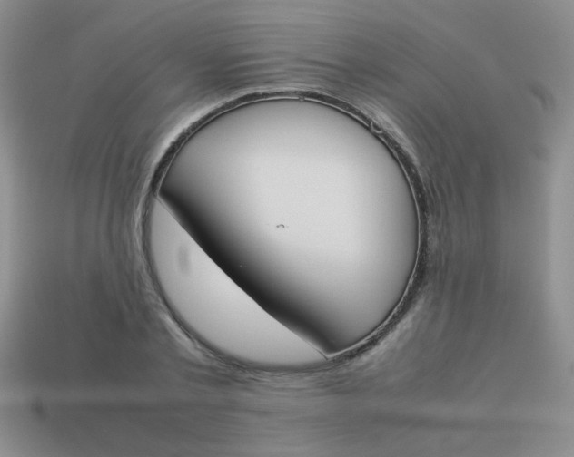 X0000113890789200910151333