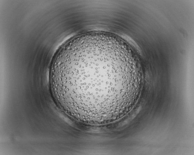 X0000113890790200910151333