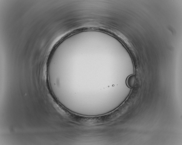 X0000113890791200910151333