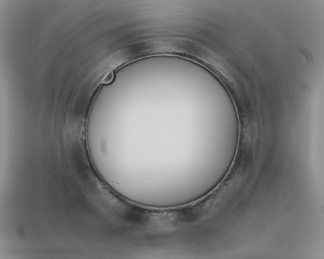 X0000113890793200910151333