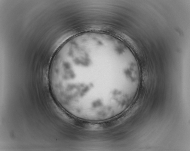 X0000113890794200910151333