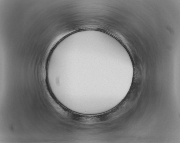 X0000113890795200910151333