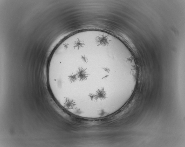 X0000113890796200910151333
