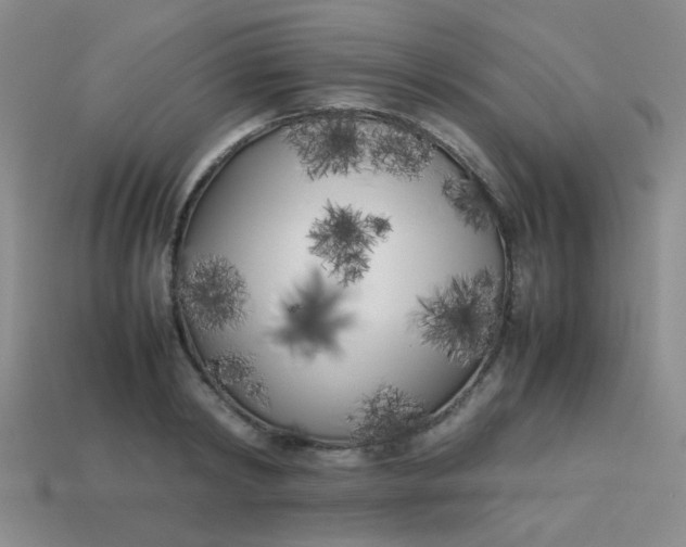 X0000113890798200910151333