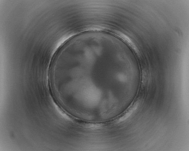X0000113890802200910151333