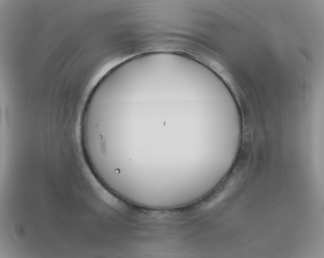 X0000113890803200910151333