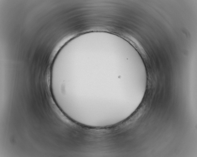X0000113890804200910151333