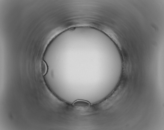 X0000113890805200910151333