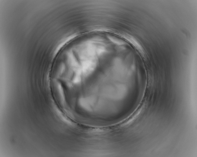 X0000113890806200910151333