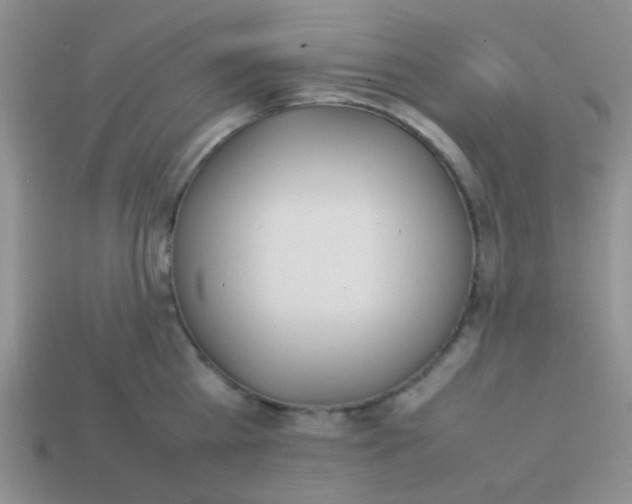 X0000113890809200910151333