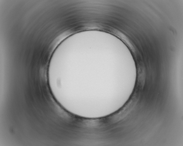 X0000113890810200910151333