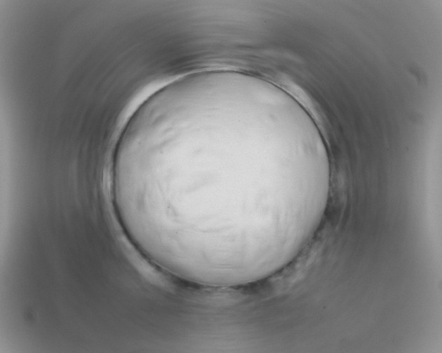 X0000113890811200910151333
