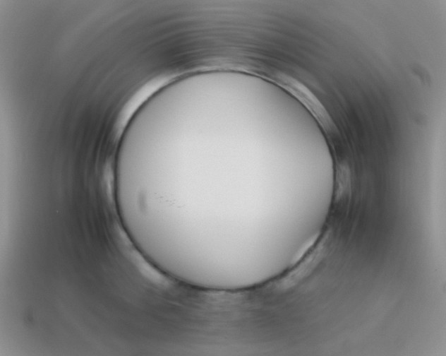 X0000113890812200910151333