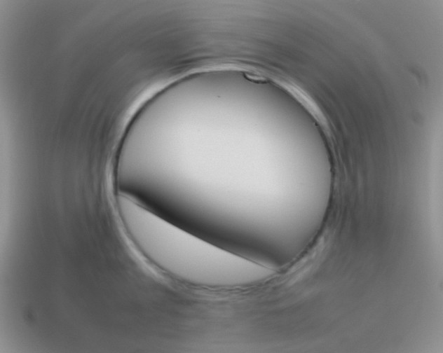 X0000113890813200910151333