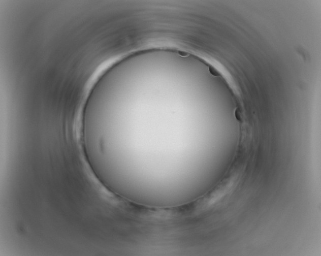 X0000113890815200910151333