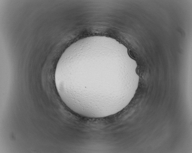 X0000113890817200910151332