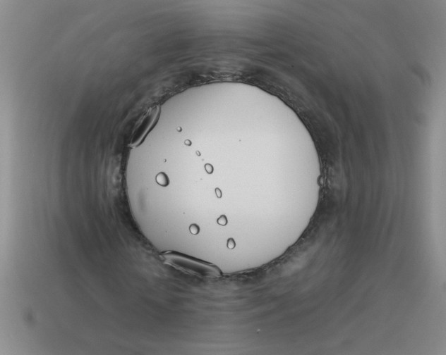 X0000113890818200910151332
