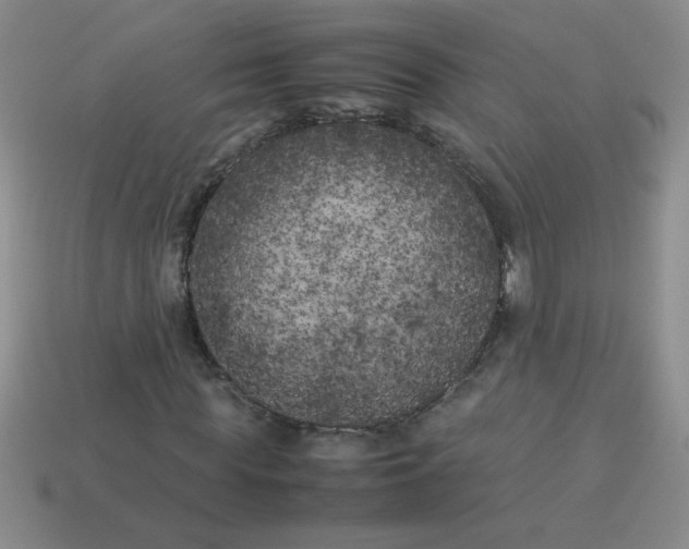 X0000113890819200910151332