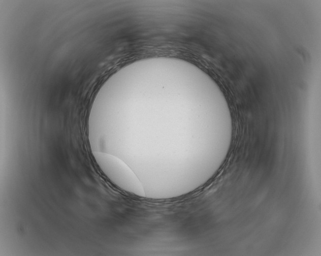 X0000113890820200910151332