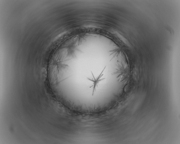 X0000113890821200910151332