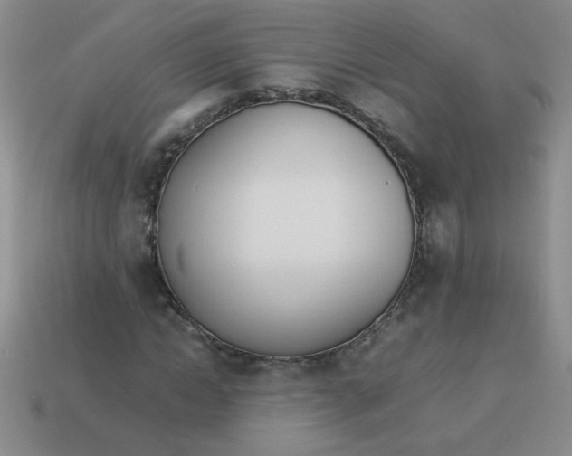 X0000113890822200910151332