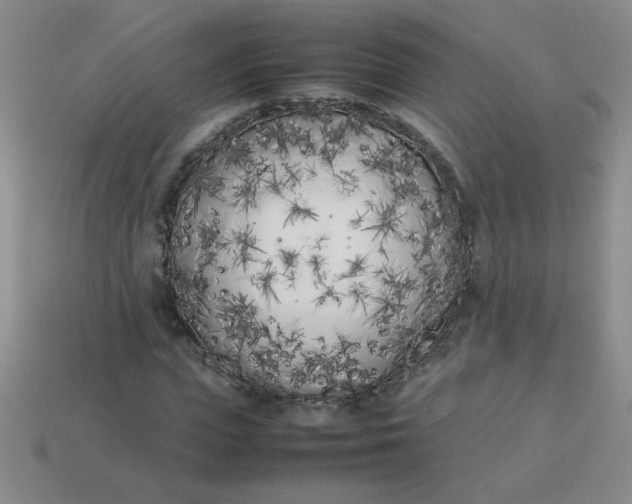 X0000113890823200910151332