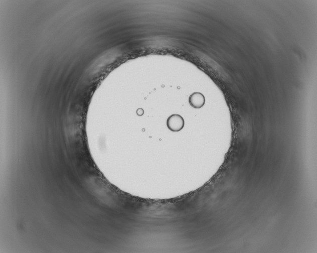X0000113890824200910151332