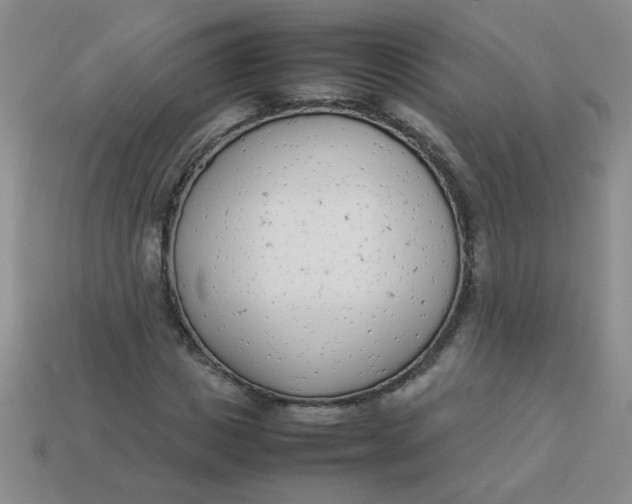 X0000113890825200910151332