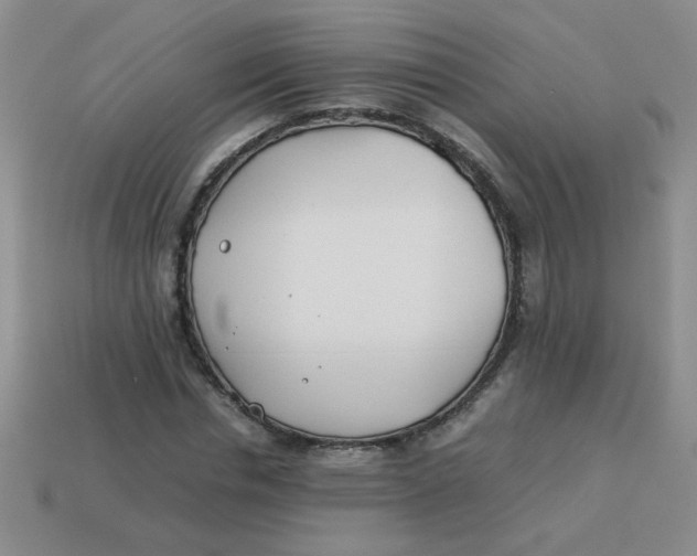 X0000113890826200910151332