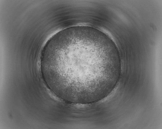 X0000113890827200910151332
