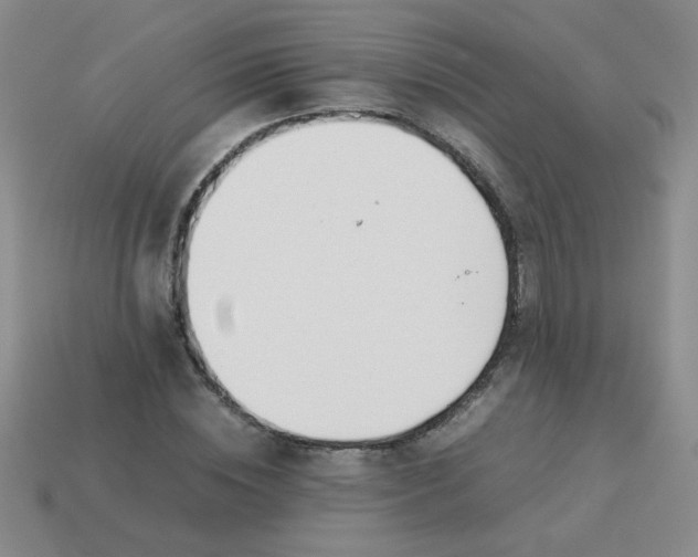 X0000113890828200910151332