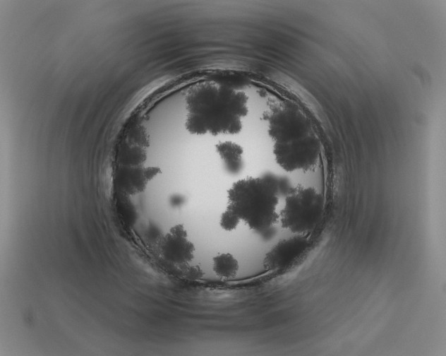 X0000113890829200910151332