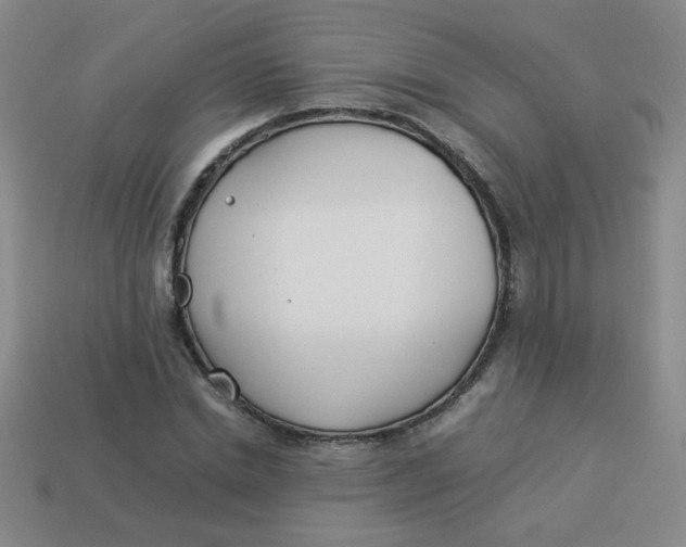X0000113890830200910151333