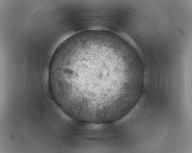 X0000113890831200910151333