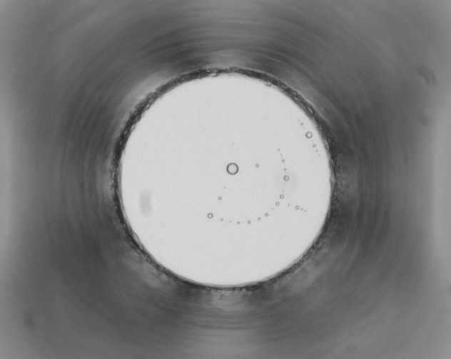 X0000113890832200910151333