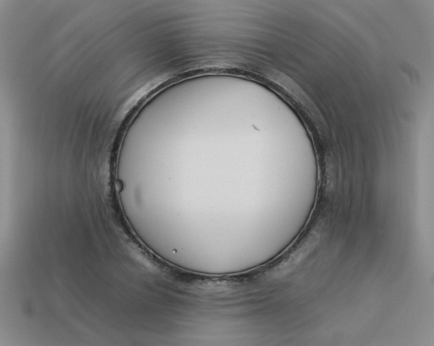 X0000113890834200910151333
