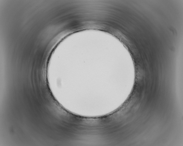 X0000113890836200910151333