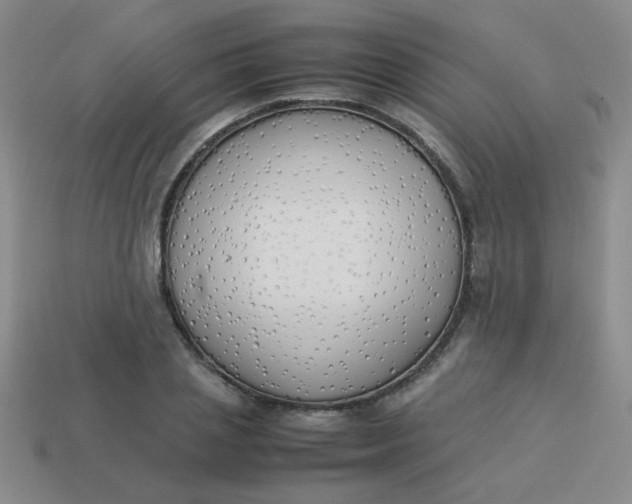 X0000113890837200910151333