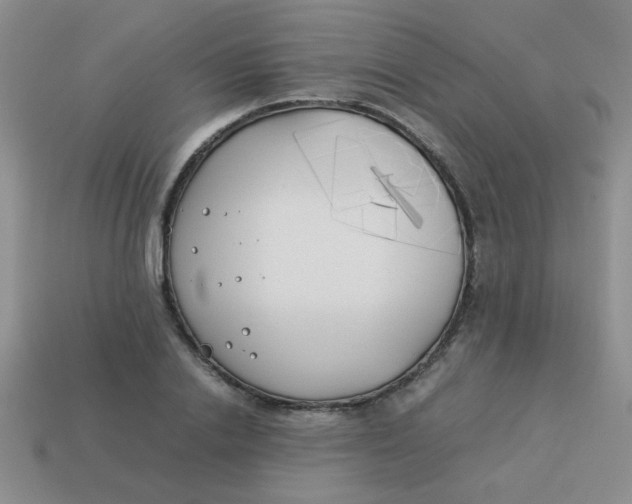 X0000113890838200910151333